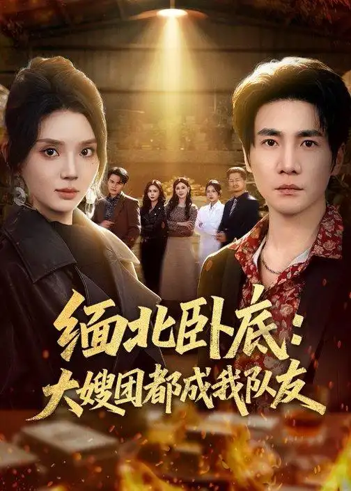《缅北卧底大嫂团都成我队友（71集）李想＆文静》短剧全集免费在线观看-CD网盘社