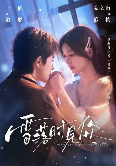 《雪落时见你》夸克网盘下载.中字（2026）