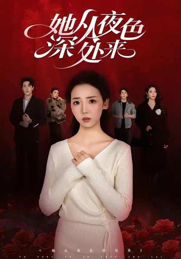 《她从夜色深处来(62集)李海蒂&刘小龙》短剧全集免费在线观看-CD网盘社