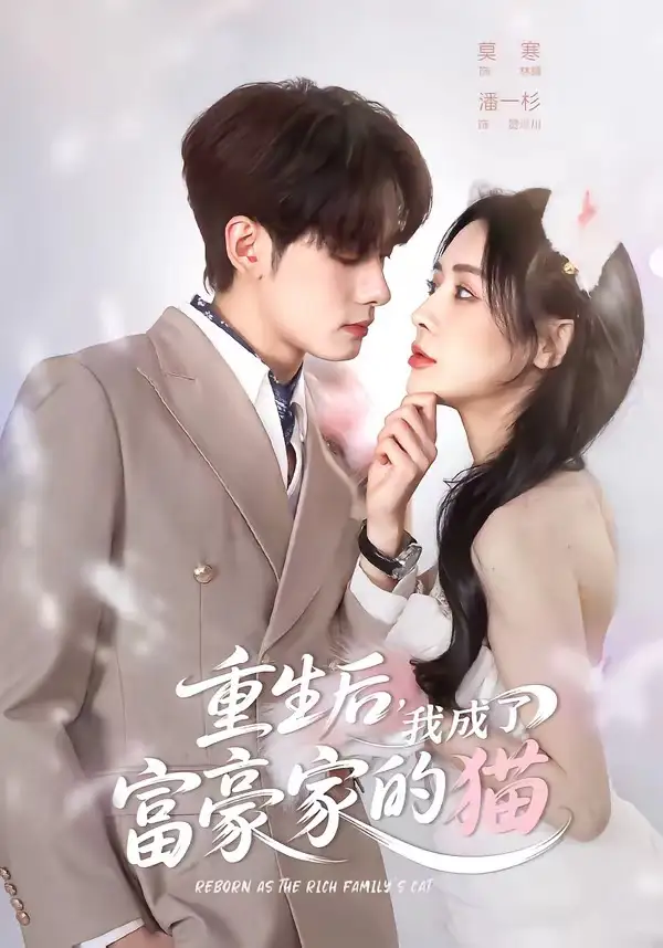 《重生后我成了富豪家的猫（62集）潘一杉＆莫寒》短剧全集免费在线观看-CD网盘社