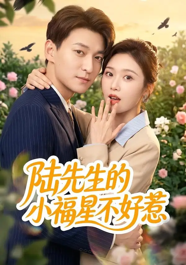 《陆先生的小福星不好惹（56集）肖涵＆何为 (2026)》短剧全集免费在线观看-CD网盘社