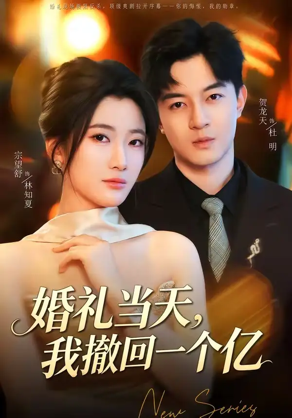 婚礼当天，我撤回一个亿&婚礼当天我撤回一个亿（51集）宗妍初＆贺龙天 (2026)全集免费在线观看 - 第一搜