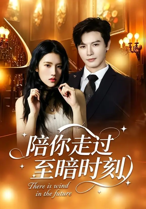 《陪你走过至暗时刻（80集）李彬航＆张沐桐 (2026)》短剧全集免费在线观看-CD网盘社