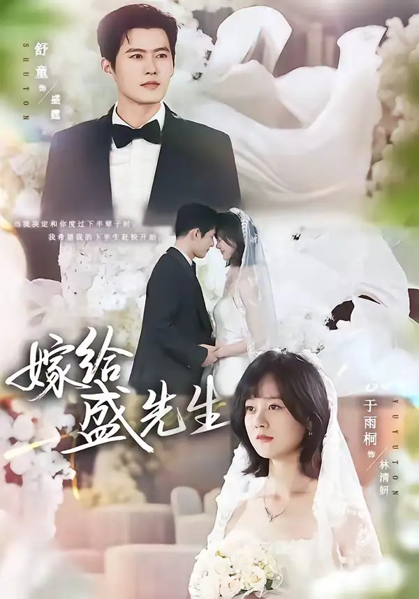 《嫁给盛先生(82集)舒童&于雨桐》短剧全集免费在线观看-CD网盘社
