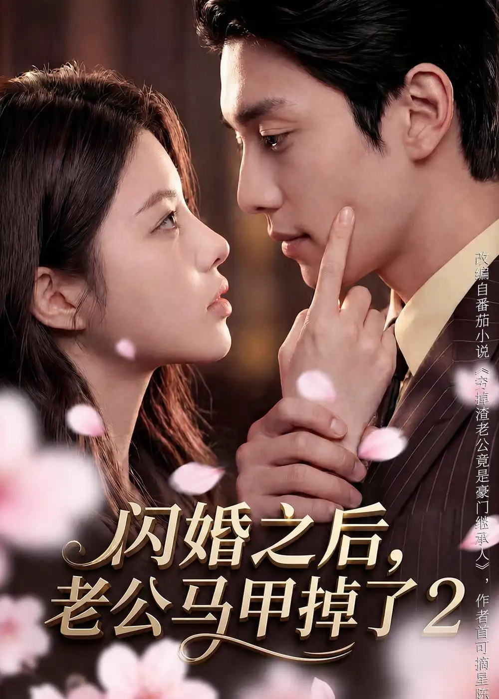 《闪婚之后，老公马甲掉了2&闪婚之后老公马甲掉了2（82集）AI短剧 (2026)》短剧全集免费在线观看-CD网盘社