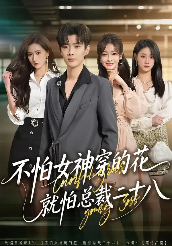 《不怕女神穿的花，就怕总裁二十八&不怕女神穿的花就怕总裁二十八（81集）辰星＆汪碧玉 (2026)》短剧全集免费在线观看-CD网盘社