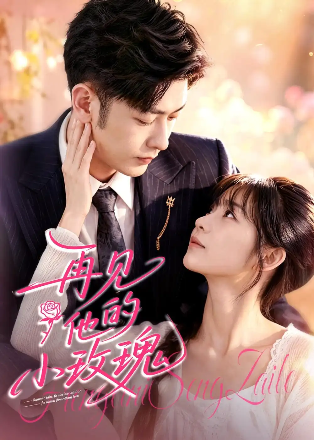 《再见他的小玫瑰（98集）向昊＆杨佳蕾 (2026)》短剧全集免费在线观看-CD网盘社