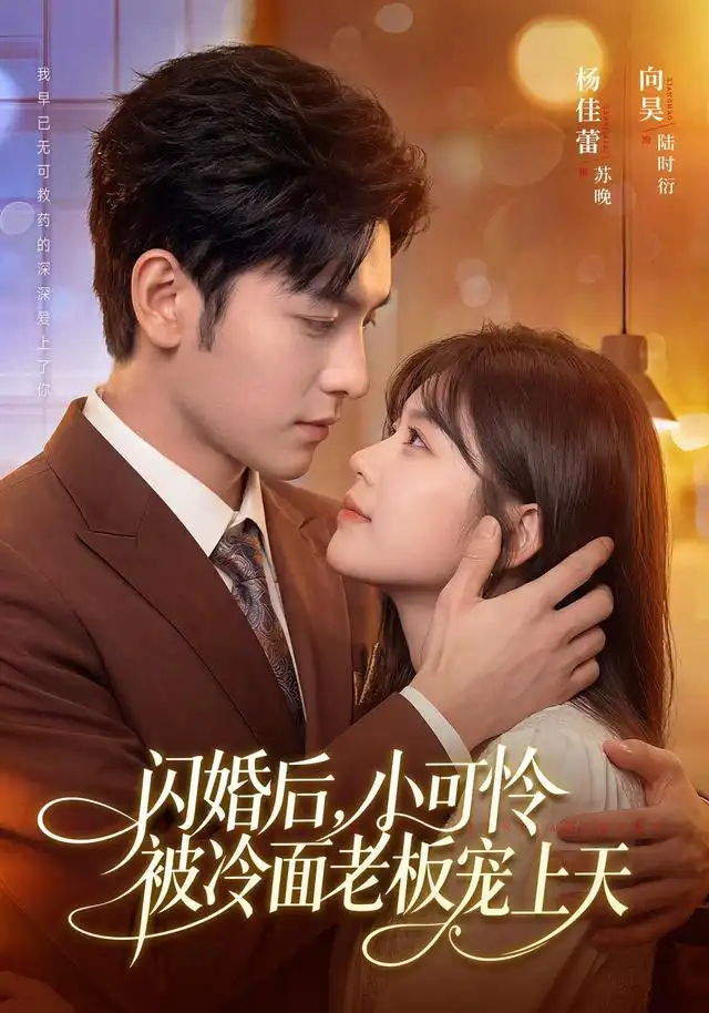《闪婚后，小可怜被冷面老板宠上天&闪婚后小可怜被冷面老板宠上天（87集）杨佳蕾＆向昊》短剧全集免费在线观看-CD网盘社