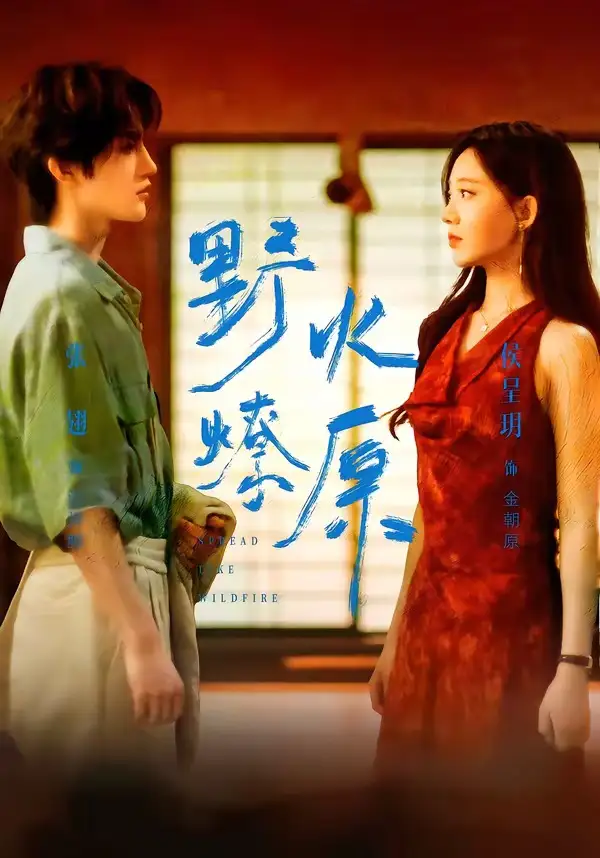 《野火燎原（72集）张翅＆侯呈玥》短剧全集免费在线观看-CD网盘社