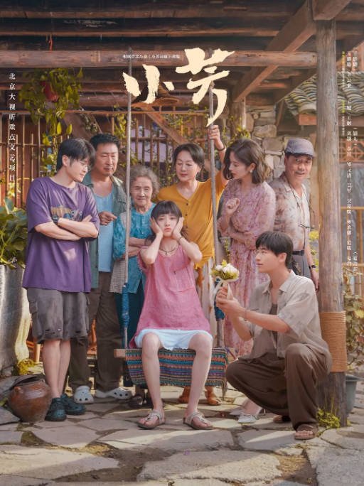 [国剧]《小芳》（2026）[夸克网盘]-CD网盘社
