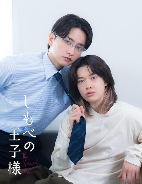 《仆人的王子殿下》夸克网盘下载.中字（2026）-CD网盘社