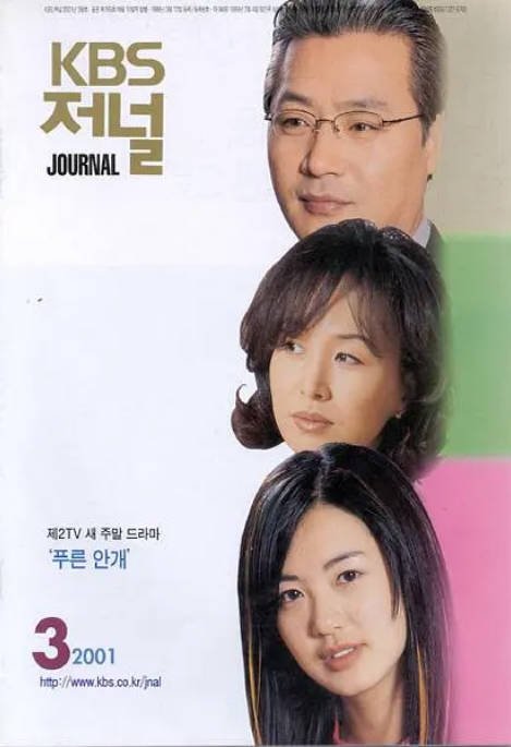 [韩剧]《蓝雾》（2001）[夸克网盘]-布伊影视网
