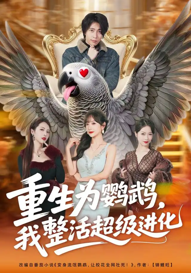 《重生为鹦鹉，我整活超级进化&重生为鹦鹉我整活超级进化（70集）王钰威＆王琳惠》短剧全集免费在线观看-CD网盘社