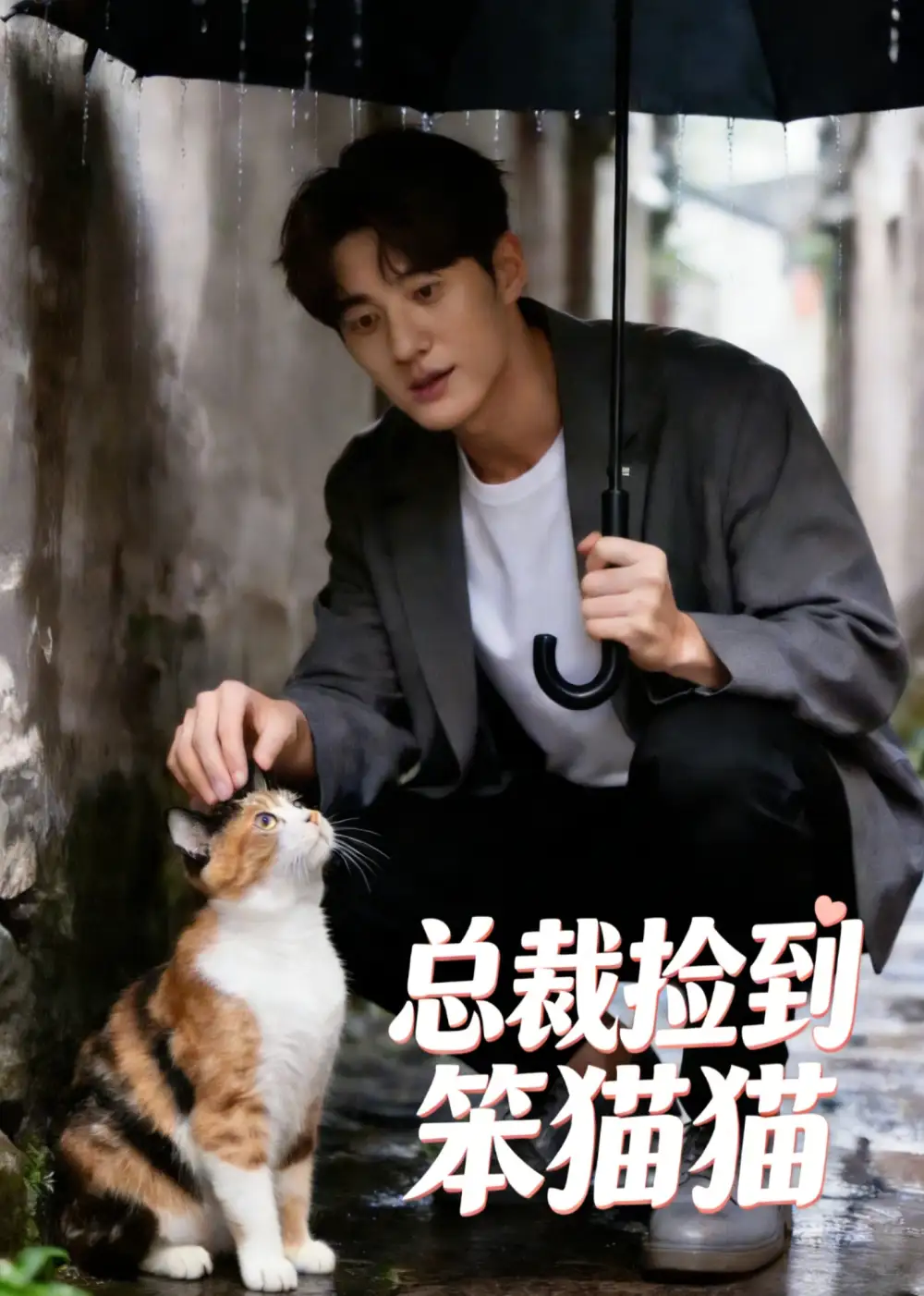 《总裁捡到笨猫猫（41集）AI短剧》短剧全集免费在线观看-CD网盘社