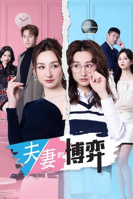 《夫妻的博弈》夸克网盘下载.中字（2026）-CD网盘社