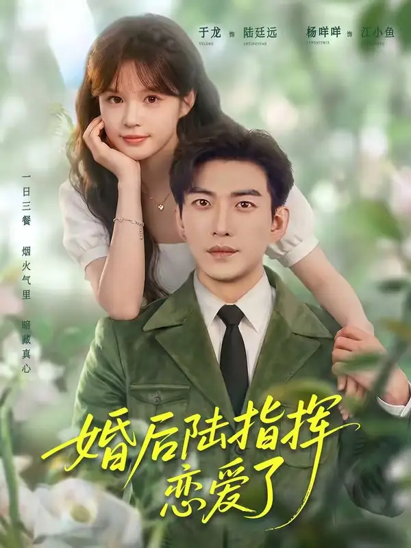 《婚后陆指挥沦陷了（89集）于龙＆杨伊路》短剧全集免费在线观看-CD网盘社