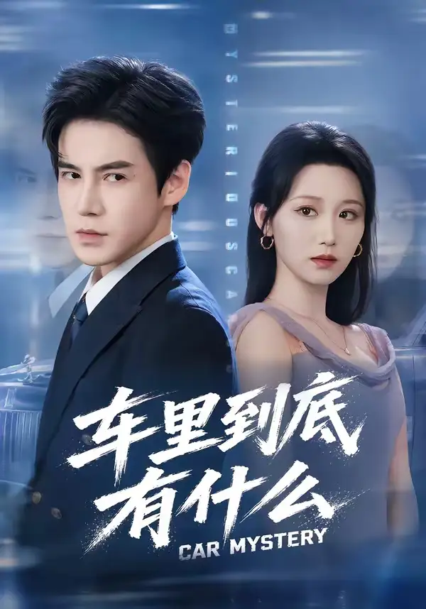 《车里到底有什么（51集）李子锋＆林千仟》短剧全集免费在线观看-CD网盘社