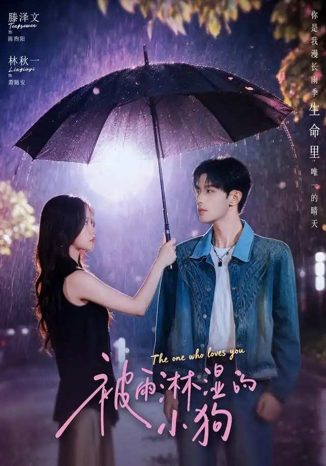 《被雨淋湿的小狗（80集）林秋一＆滕泽文》短剧全集免费在线观看-布伊影视网