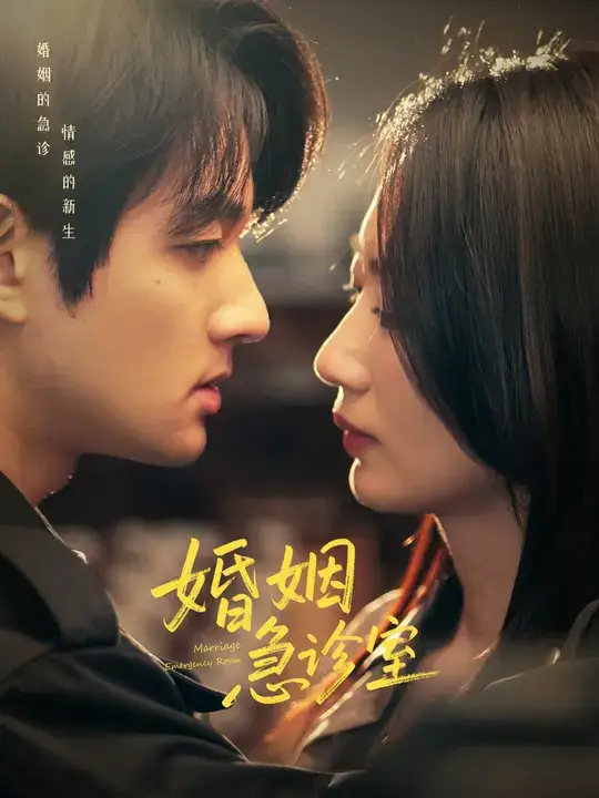 《婚姻急诊室（20集）赵子麒&林子煊》短剧全集免费在线观看-CD网盘社