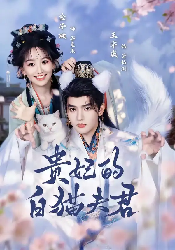 贵妃的白猫夫君（81集）王宇威＆金子璇全集免费在线观看 - 第一搜