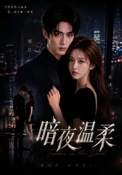 《暗夜温柔（25集）AI短剧》短剧全集免费在线观看-CD网盘社