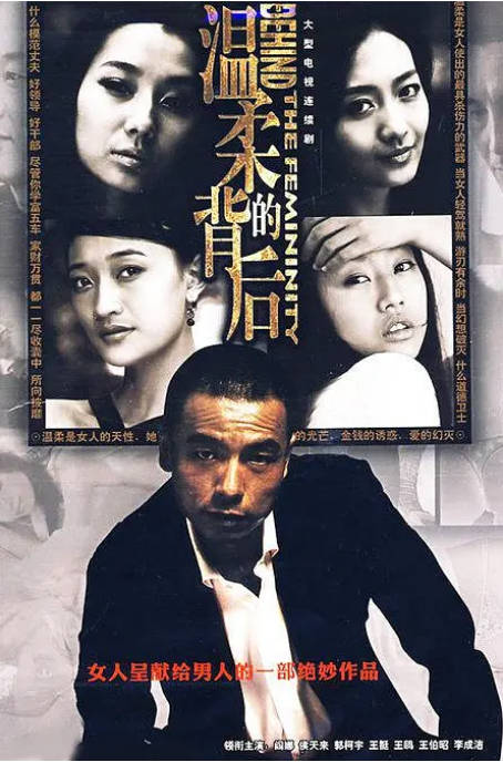 [国剧]《温柔的背后》（2008）[夸克网盘]-CD网盘社