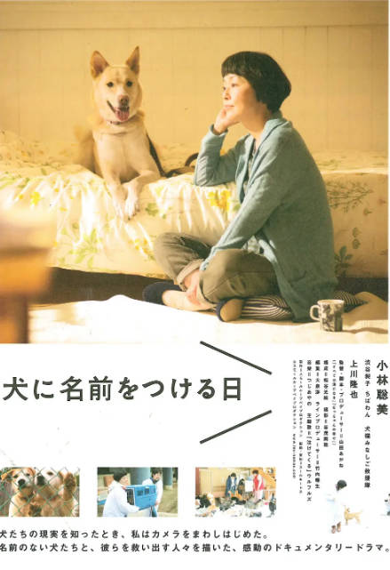 日本电影《为你取名的那一天》（2015）[夸克网盘]-CD网盘社