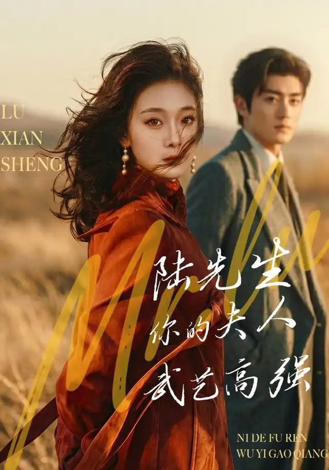 《陆先生，你的夫人武艺高强&陆先生你的夫人武艺高强（68集）李雨桐＆苏畅＆李宣锦＆姚心媚》短剧全集免费在线观看-CD网盘社