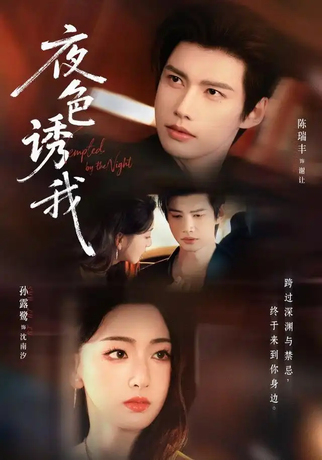 《夜色诱我(78集) 陈瑞丰&孙露鹭》短剧全集免费在线观看-CD网盘社