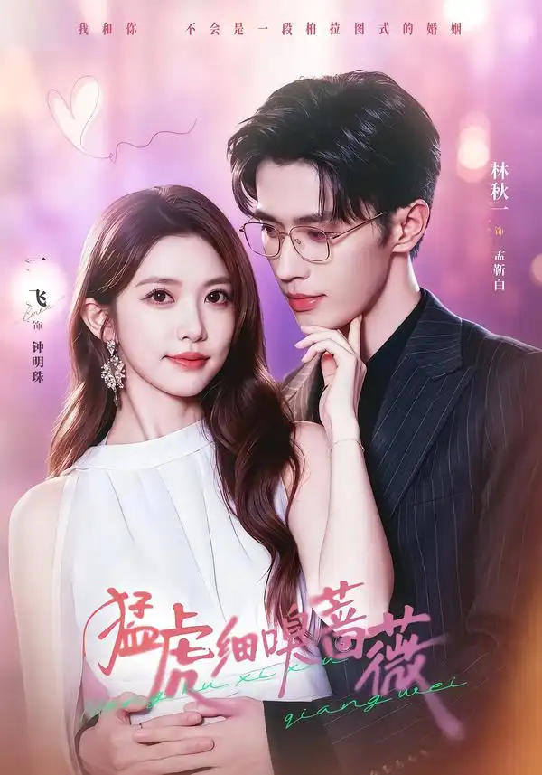 《猛虎细嗅蔷薇（60集）一飞＆林秋一（1080P）》短剧全集免费在线观看