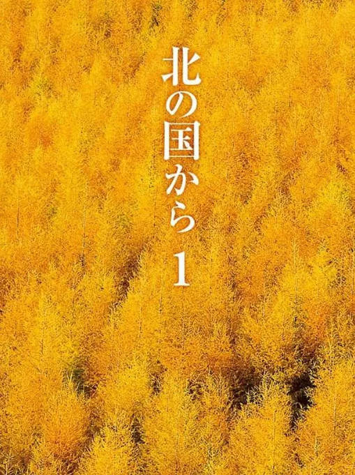 [日剧]《北国之恋》（1981）[夸克网盘]-CD网盘社