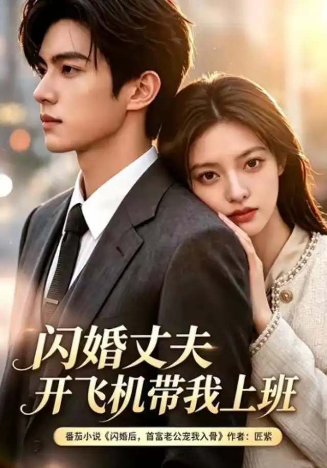 《闪婚丈夫，开飞机带我上班第三季&闪婚丈夫开飞机带我上班第三季（61集）AI短剧》短剧全集免费在线观看-CD网盘社
