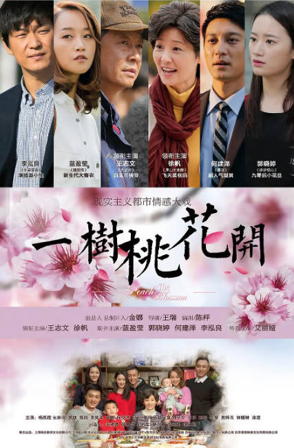 [国剧]《一树桃花开》（2017）[夸克网盘]-CD网盘社