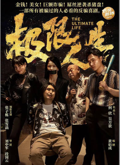 国剧《极限人生》（2026）[夸克网盘]-布伊影视网