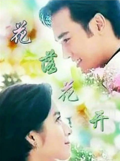 [台剧]《花落花开》（1996）[夸克网盘]-CD网盘社