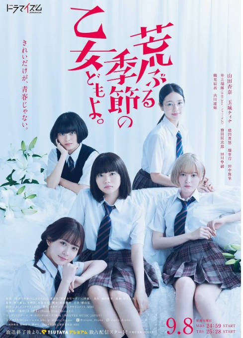 [日剧]《骚动时节的少女们啊》（2020）[夸克网盘]-CD网盘社