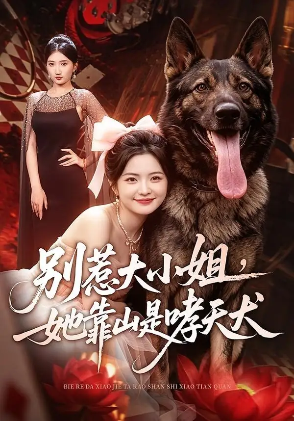 《别惹大小姐,她靠山是哮天犬&别惹大小姐她靠山是哮天犬(86集)常珂欣&刘继泽》短剧全集免费在线观看-CD网盘社