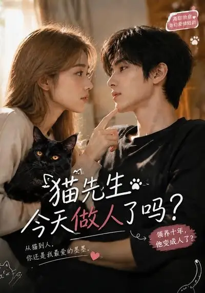 《猫先生今天做人了吗？&猫先生今天做人了吗（84集）AI短剧》短剧全集免费在线观看-CD网盘社