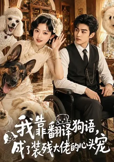 《我靠翻译狗语，成了装残大佬的心尖宠&我靠翻译狗语成了装残大佬的心尖宠（80集） AI短剧》短剧全集免费在线观看-CD网盘社