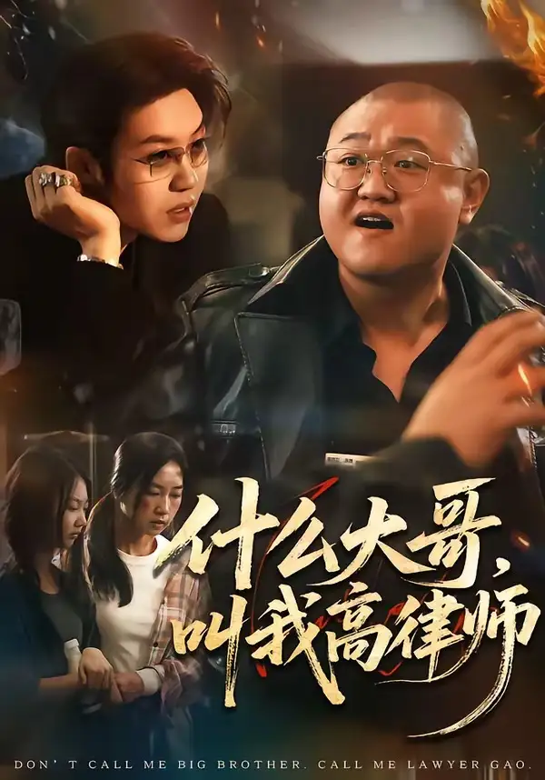 什么大哥，叫我高律师（65集）高峰&胡柯全集免费在线观看 - 第一搜
