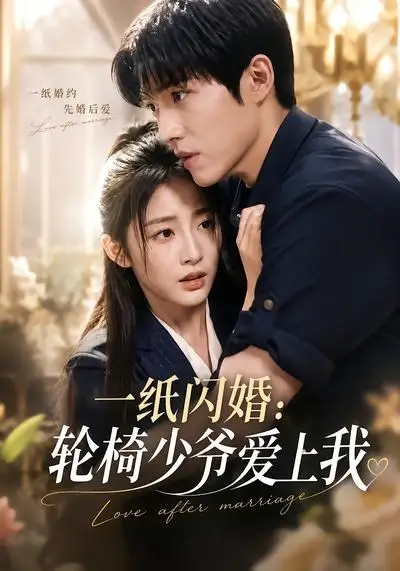 《一纸闪婚：轮椅少爷爱上我&一纸闪婚轮椅少爷爱上我（72集）AI短剧》短剧全集免费在线观看-CD网盘社