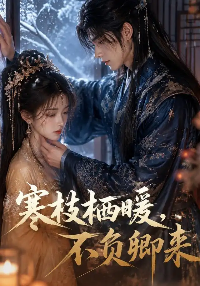《寒枝栖暖，不负卿来&寒枝栖暖不负卿来（50集）AI短剧》短剧全集免费在线观看-布伊影视网
