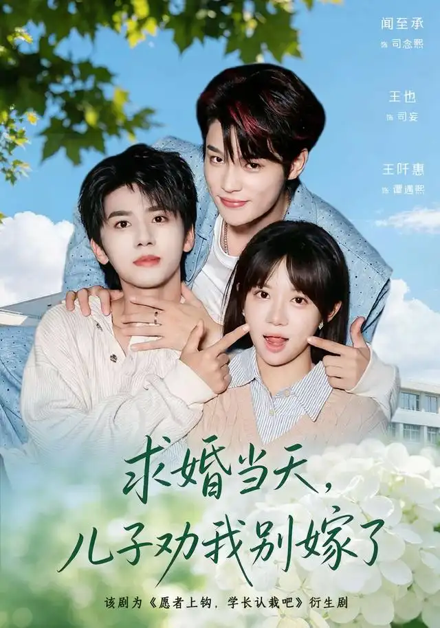 《求婚当天，儿子劝我别嫁了&求婚当天儿子劝我别嫁了（67集）闻至承＆王也》短剧全集免费在线观看-CD网盘社