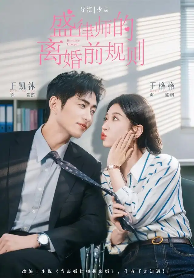 《盛律师的离婚前规则（97集）王凯沐＆王格格》短剧全集免费在线观看-CD网盘社