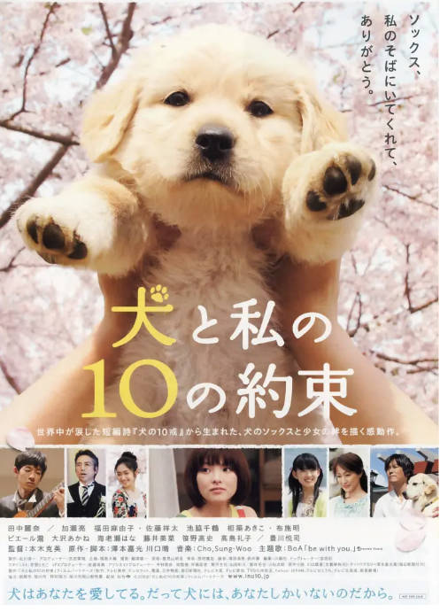 日本电影《狗狗与我的十个约定》（2008）剧情 / 喜剧 / 爱情 豆瓣8.1[夸克网盘]-CD网盘社