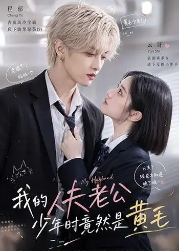 《我的人夫老公少年时竟然是黄毛！&我的人夫老公少年时竟然是黄毛（15集）AI短剧》短剧全集免费在线观看-CD网盘社