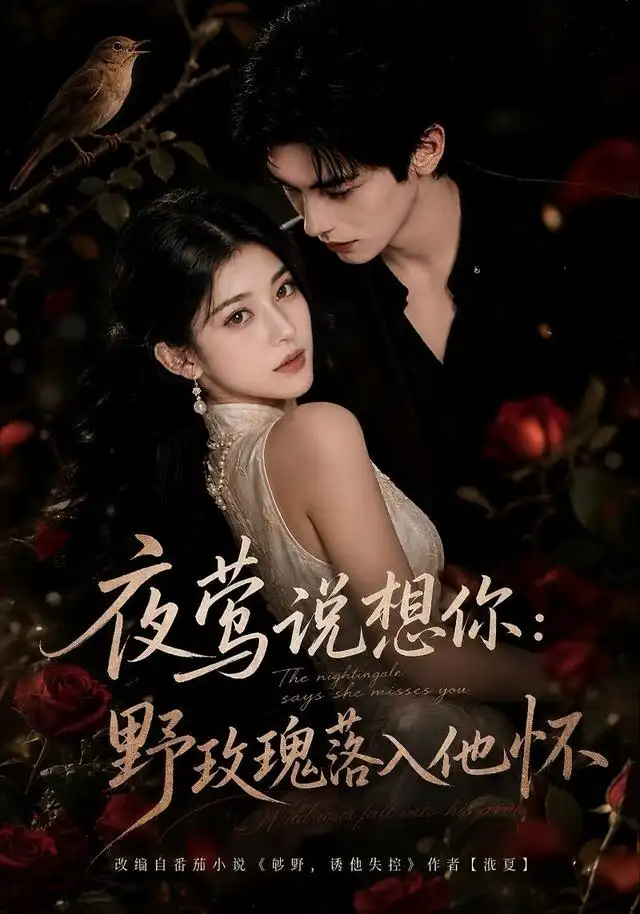 《夜莺说想你：野玫瑰落入他怀&夜莺说想你野玫瑰落入他怀（186集）AI短剧》短剧全集免费在线观看-CD网盘社