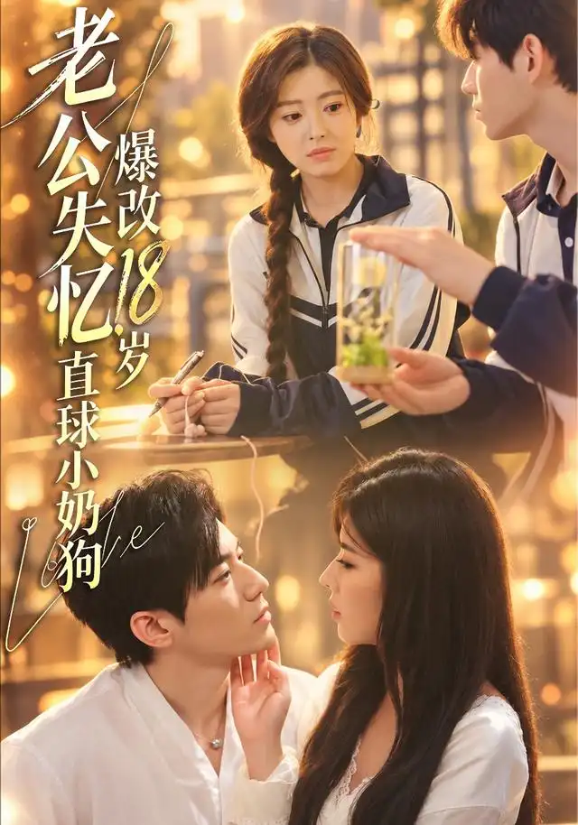 《老公失忆，爆改18岁直球小奶狗&老公失忆爆改18岁直球小奶狗（40集）苗天添＆熊安妮》短剧全集免费在线观看-CD网盘社