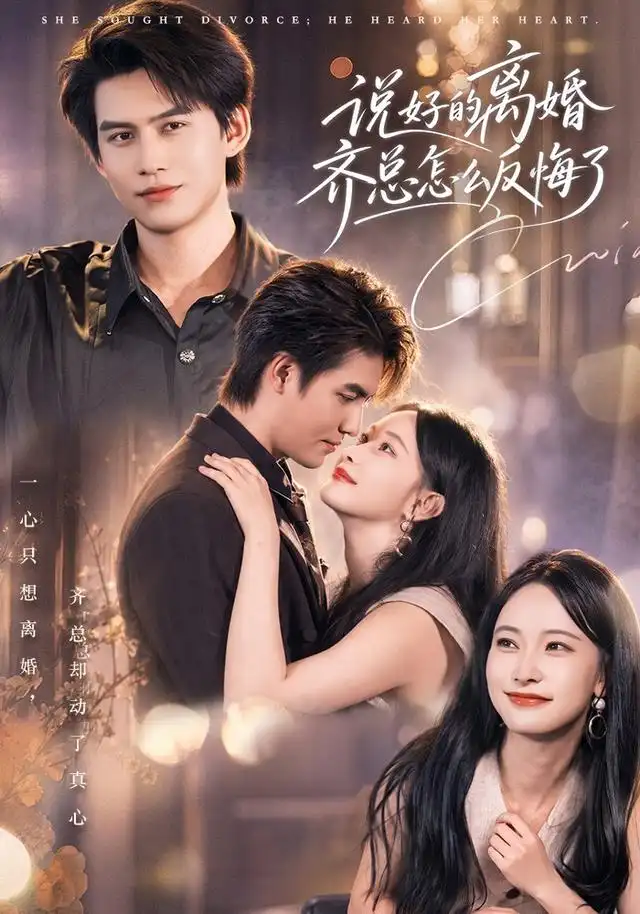 《说好的离婚齐总怎么反悔了（40集）尹晨攒＆宗沐一》短剧全集免费在线观看-CD网盘社