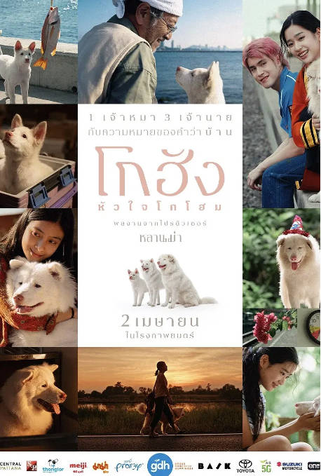 泰国电影《心犬相随》（2026）剧情 / 喜剧 / 爱情[夸克网盘]-CD网盘社